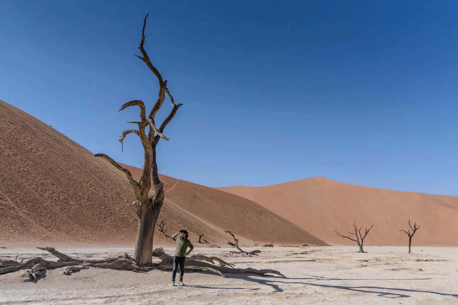 Mohammad at Deadvlei, Namibia — ancient dead trees against towering red sand dunes